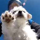 (주)시디컴미디어 | 💥🖥️👩🏻‍💻😴😪😶‍🌫️😵🍇🍑❤️