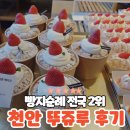 J-041 | 뚜쥬루 빵돌가마 빵지순례 뚜쥬루 두쫀쿠 케이크 정보