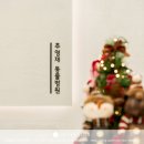 추영재동물병원 이미지