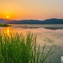 순천-52호 네이버블로그