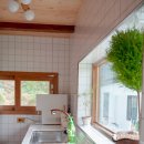 스테이 밭 이미지