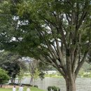 재연목장 | 남양주 카페 아이와 가볼 만한 곳 “브리끄 대형카페” 북한강 뷰