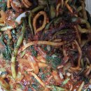 손맛김치님의 열무얼갈이김치~👍 이미지