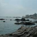 동해바다 2 이미지