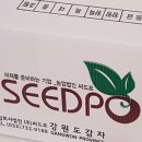 수미마트