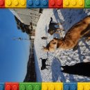 덕분에 행복하개 이미지