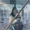 944 | 발리 신혼여행 싱가포르항공 경유 SQ607 SQ944 탑승 후기 (신혼여행 케이크 신청 방법)