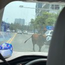 서윤옷사랑 | 같이 걷자 난 다 궁금해