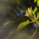 원인재역 이미지