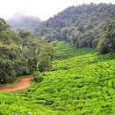 삼일공구볼트 이미지