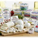 치즈(cheese) 이미지