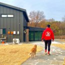 신축펜션프롬가든 | 대부도 단체독채펜션 신축 풀빌라 블레스가든 애견동반 후기