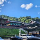 치악산한의원 이미지