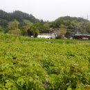 (주)울릉드림 이미지