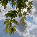 수성동 부영2차아파트-1 이미지