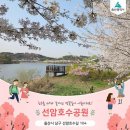 삼호본동경로당 이미지