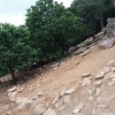 황용농장 이미지