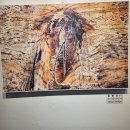 박소영 개인전 | "같이 보다" 장애, 비장애인 작가 초대전 후기