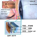 다시,봄약국 이미지