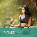 대각선원 네이버블로그