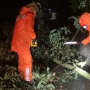 소답동118 이미지