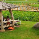 만나숯불갈비 이미지