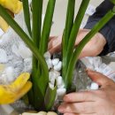 인삼광장 이미지