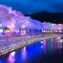 수안보로 이미지