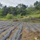 장담공인중개사사무소 이미지