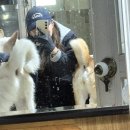 녹양천사센타 | < 의정부 녹양역 유기견 보호소 봉사 :: 대중교통으로 4번째 방문 후기 > + 봉사신청 방법