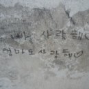 후곡리 티스토리