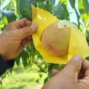 선웅농원 이미지