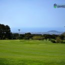 라헨느CC 이미지