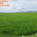 양덕동375 이미지