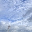 산포카세차장 이미지