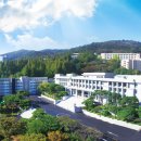 월영동249 이미지