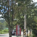 단장알프스펜션&글램핑 이미지