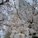 씨유 한남대빌리지점 이미지