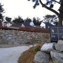 애견민박 멍집 이미지