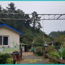 신평 태양광발전소 이미지