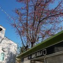 위드유호텔앤게스트하우스 이미지