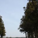 글라라목장 이미지