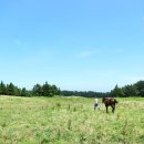 명성목장 이미지