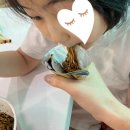 대하가족건강랜드 이미지