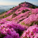 아름다운풍경 이미지