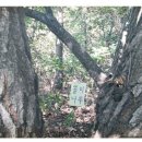 선산동물병원 이미지