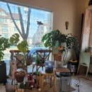 봉곡로-4 이미지