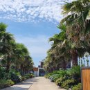 뉴스타공인중개사사무소 이미지