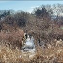 해맞이농장 이미지