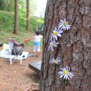 덕유산한의원 이미지